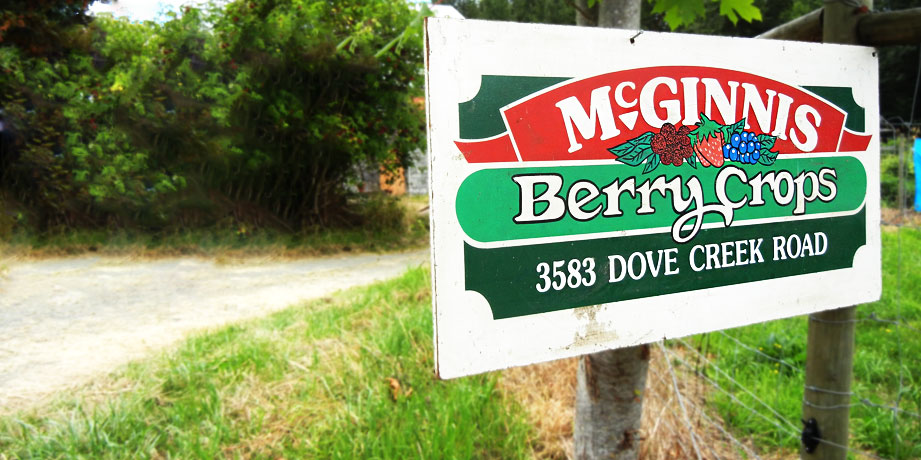 McGinnis Berry Crops